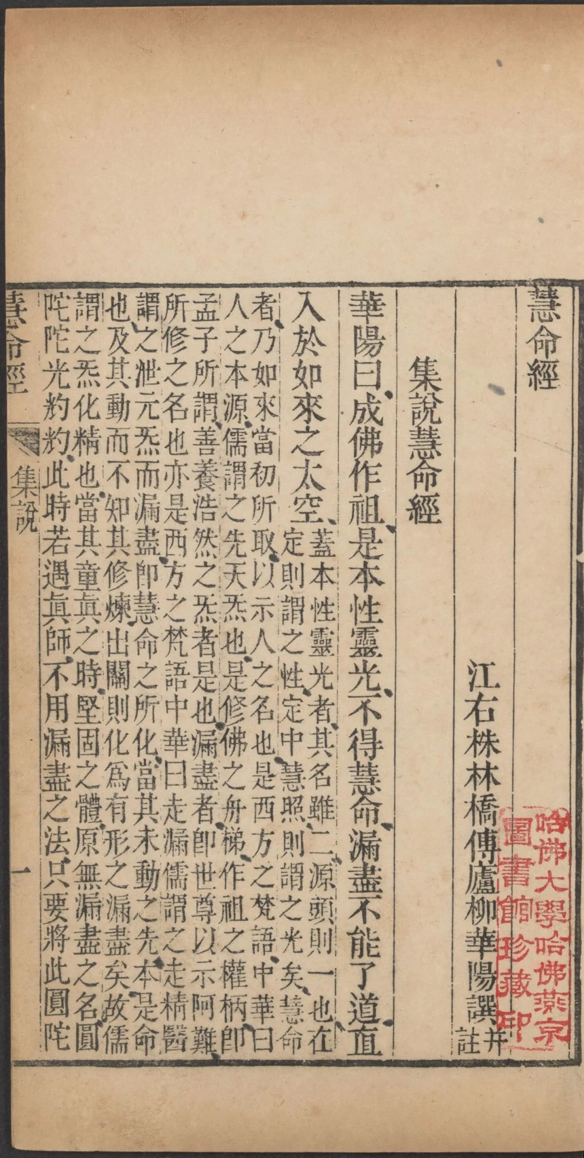 第 48 页