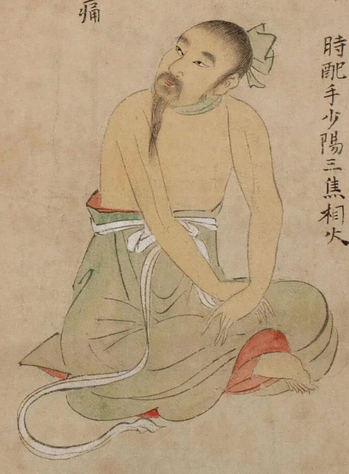 插图