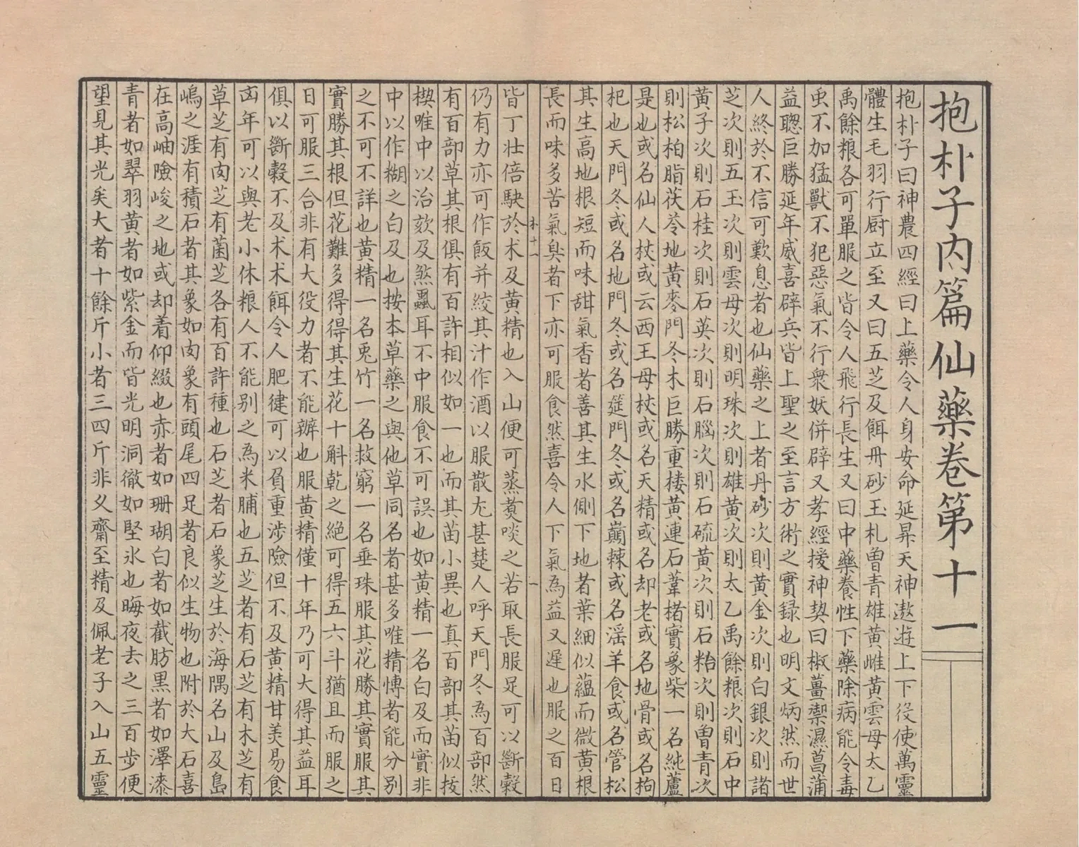 p. 46