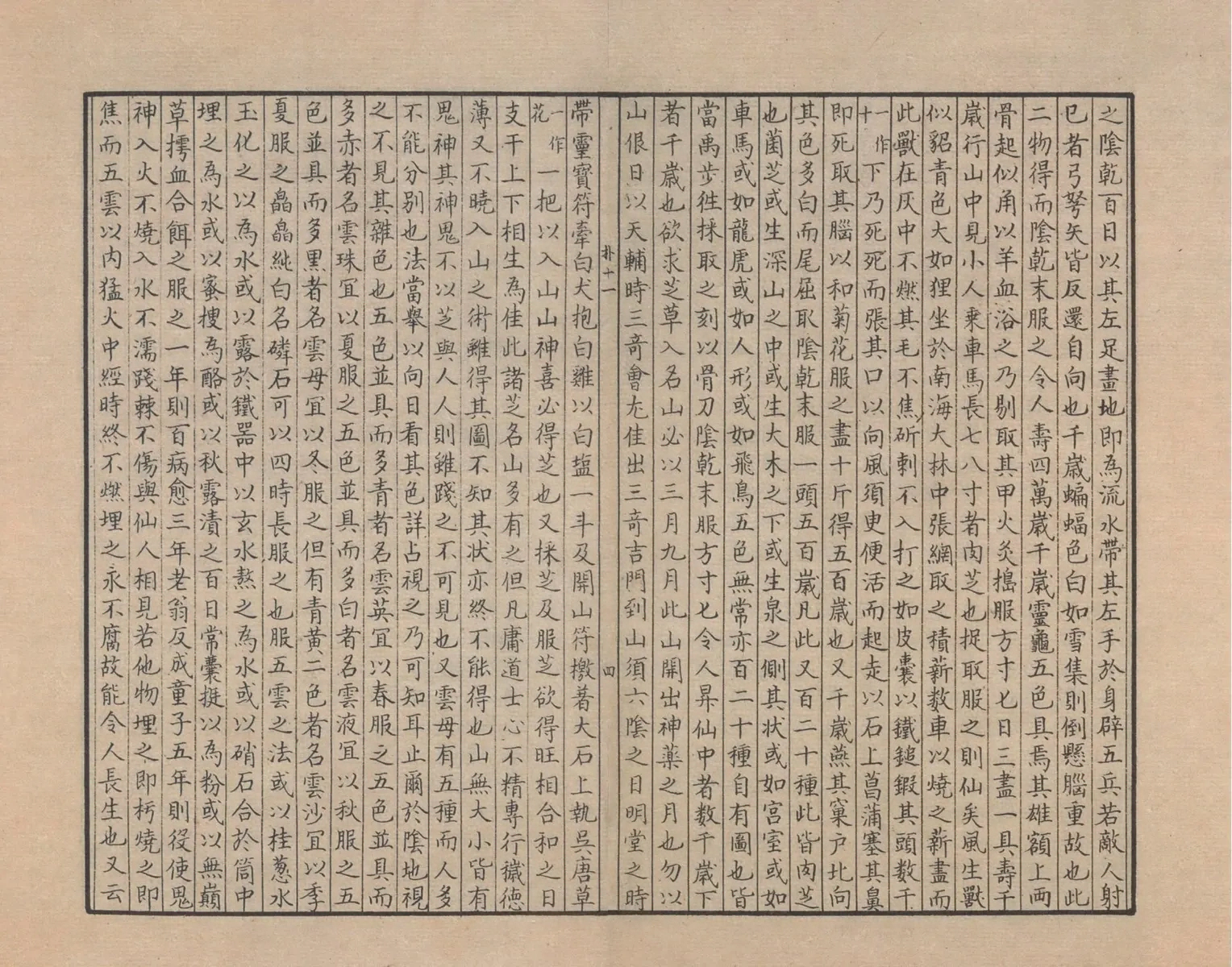 p. 49