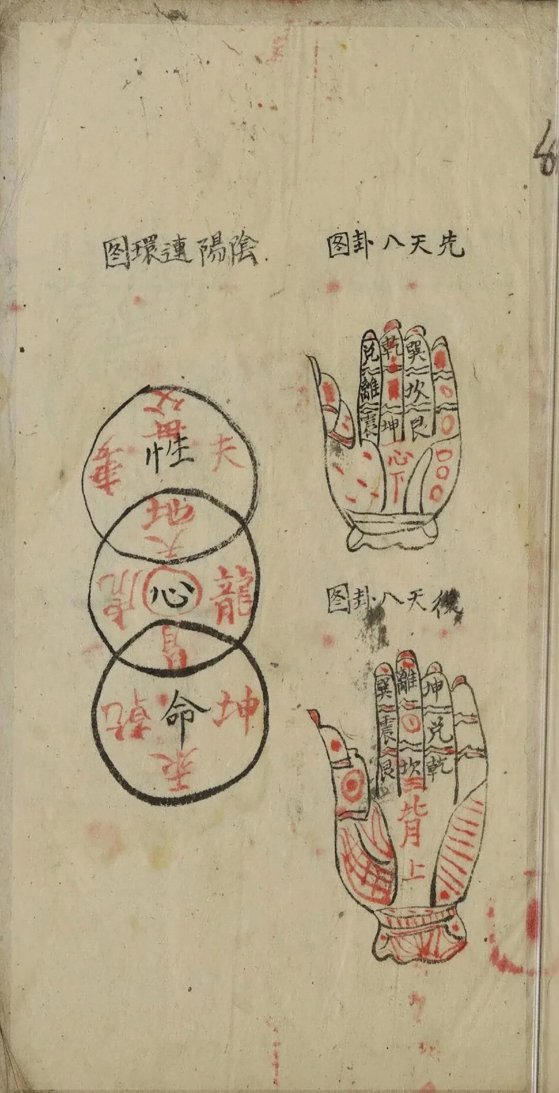 插图