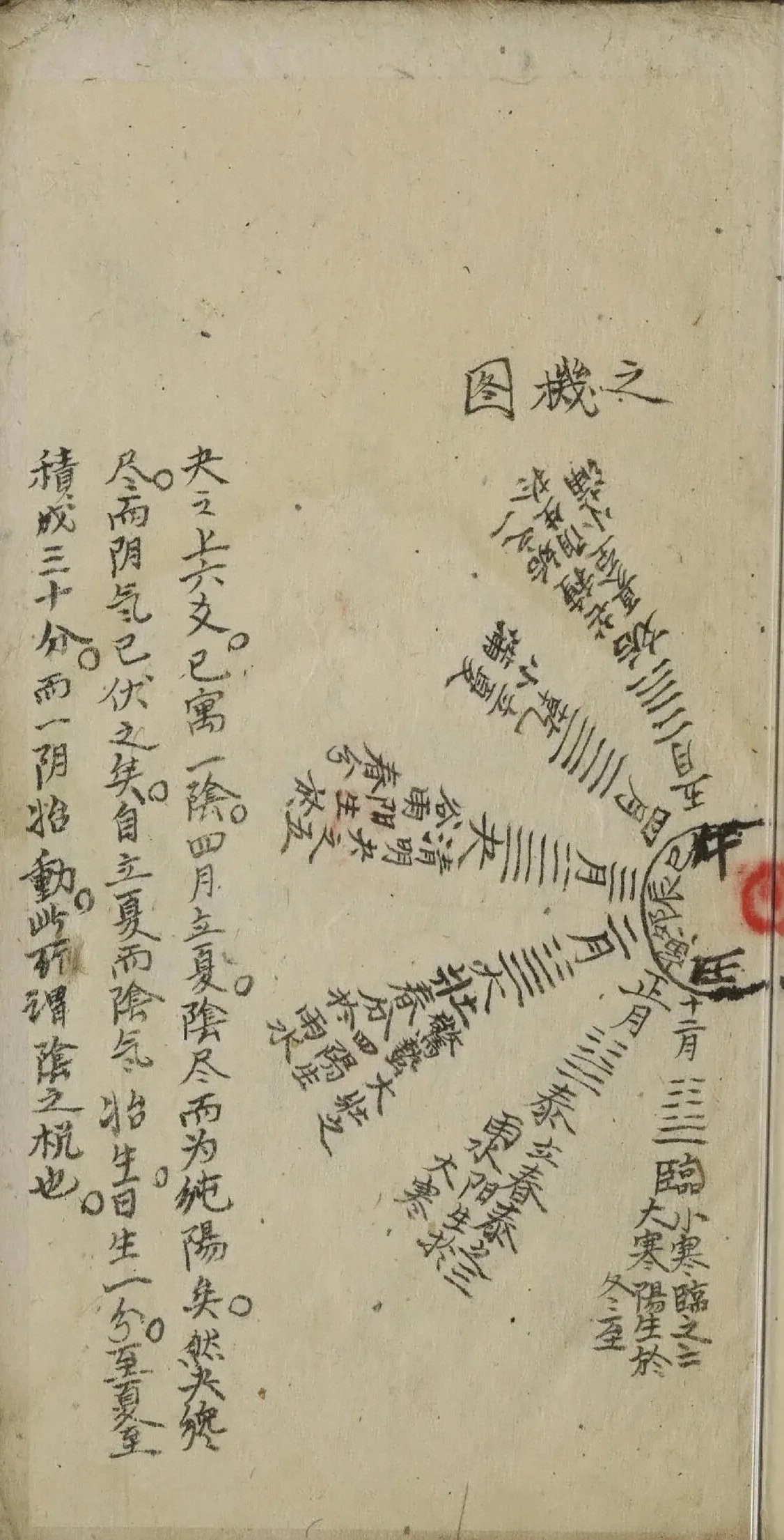 插图