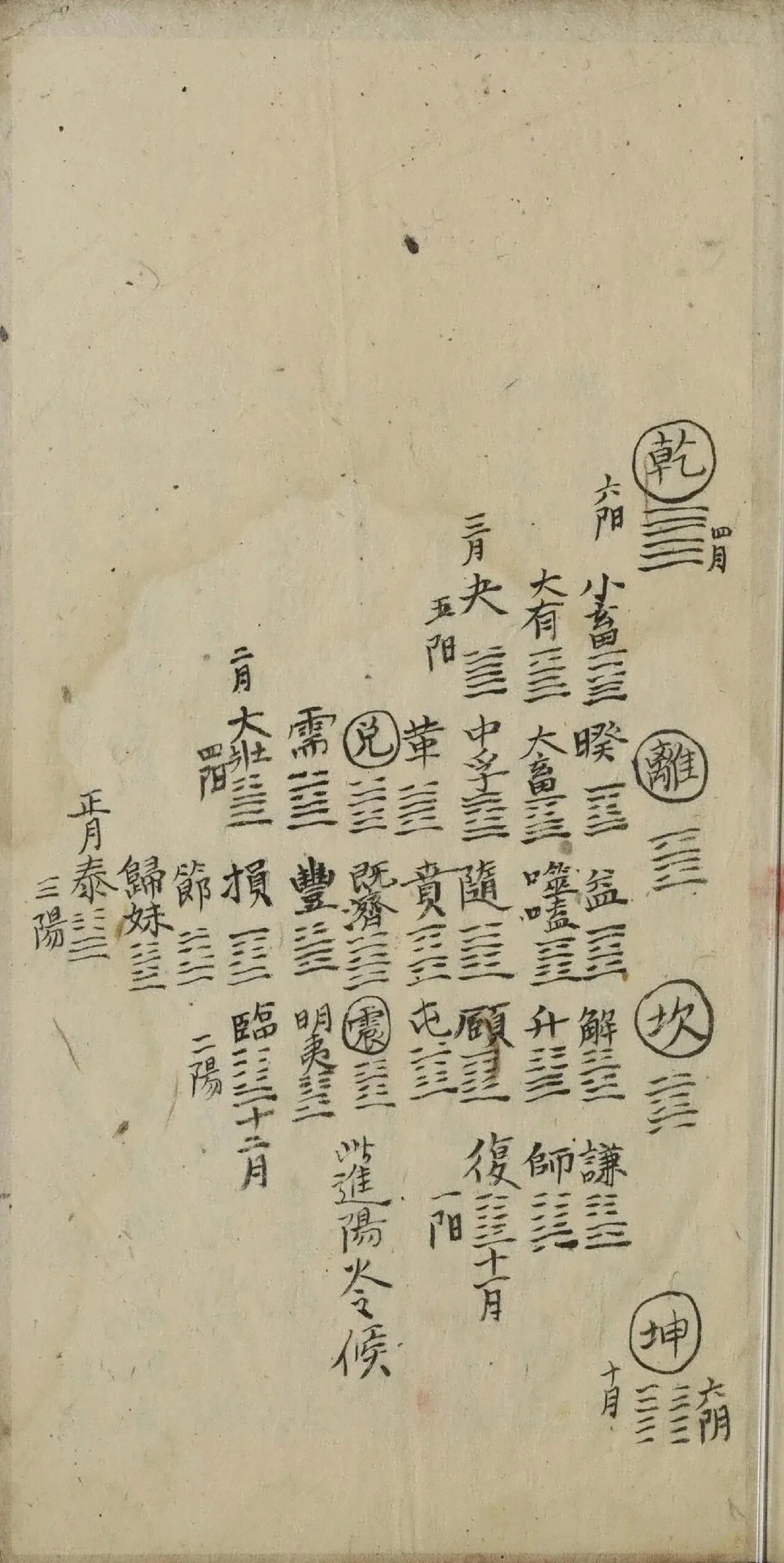 插图