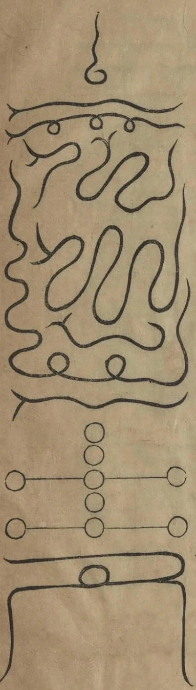 插图