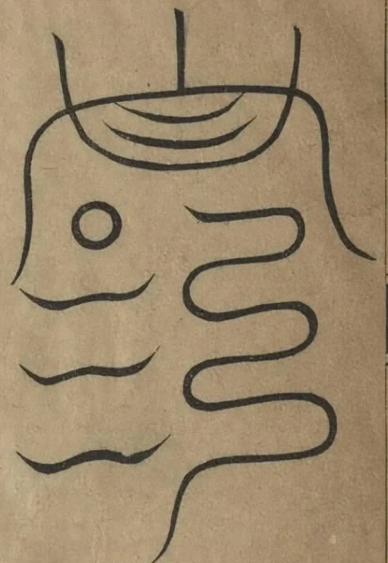 插图
