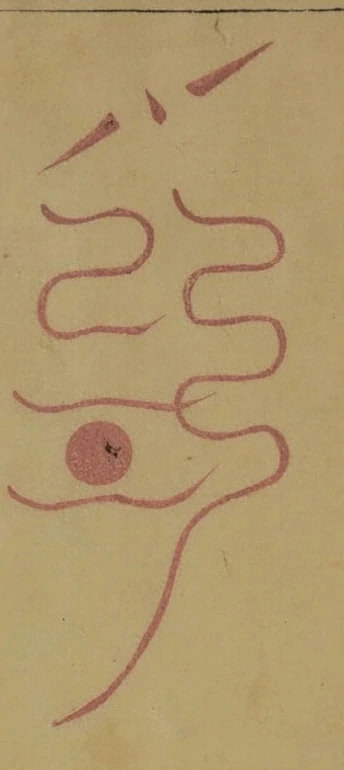 插图