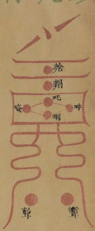 插图