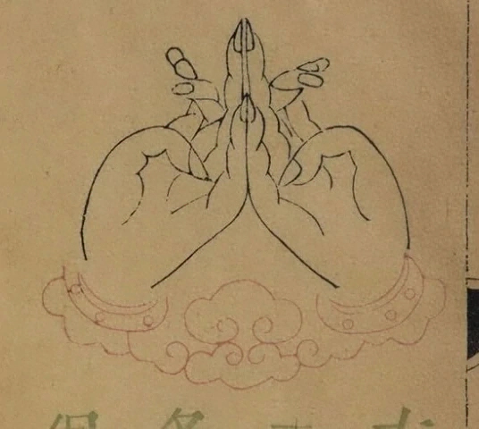 插图