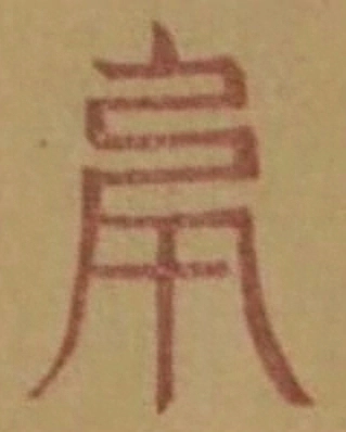 插图