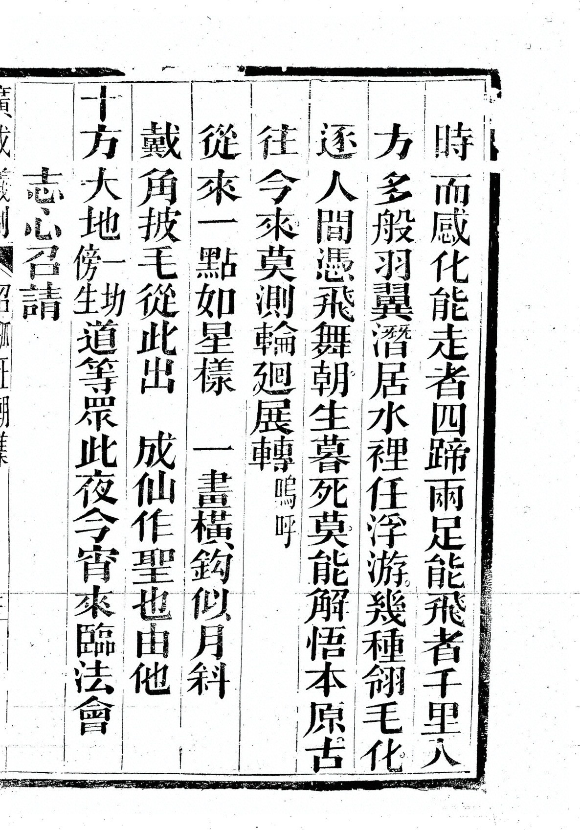 插图