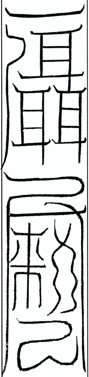 插图
