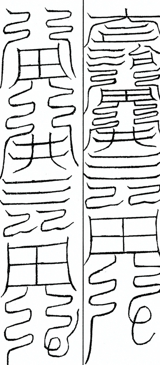 插图