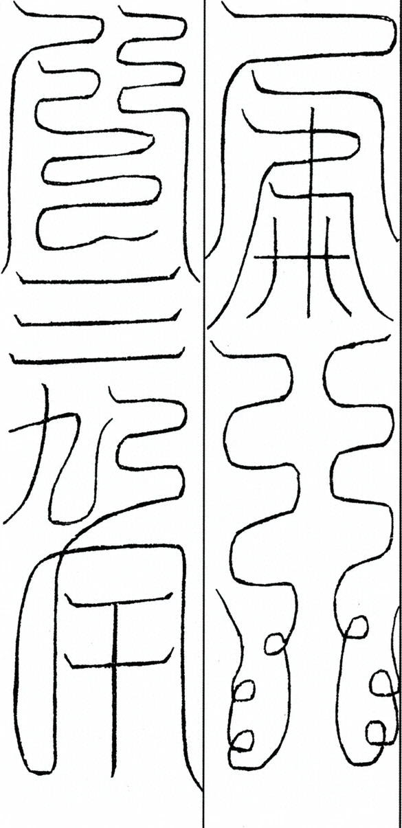 插图