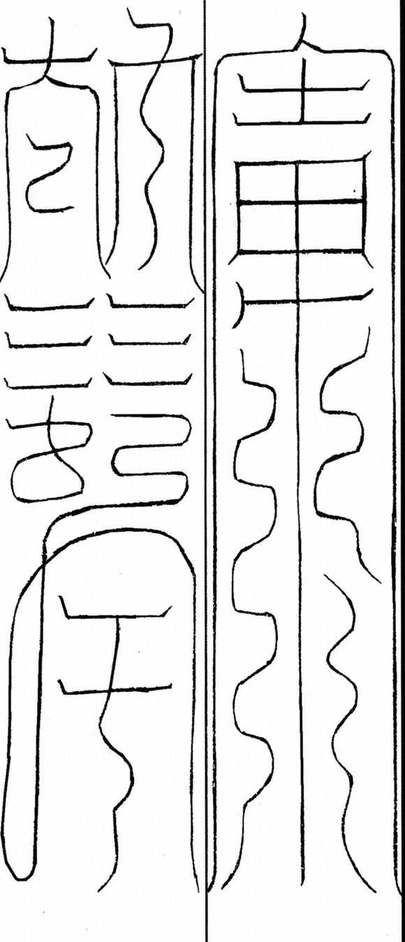 插图