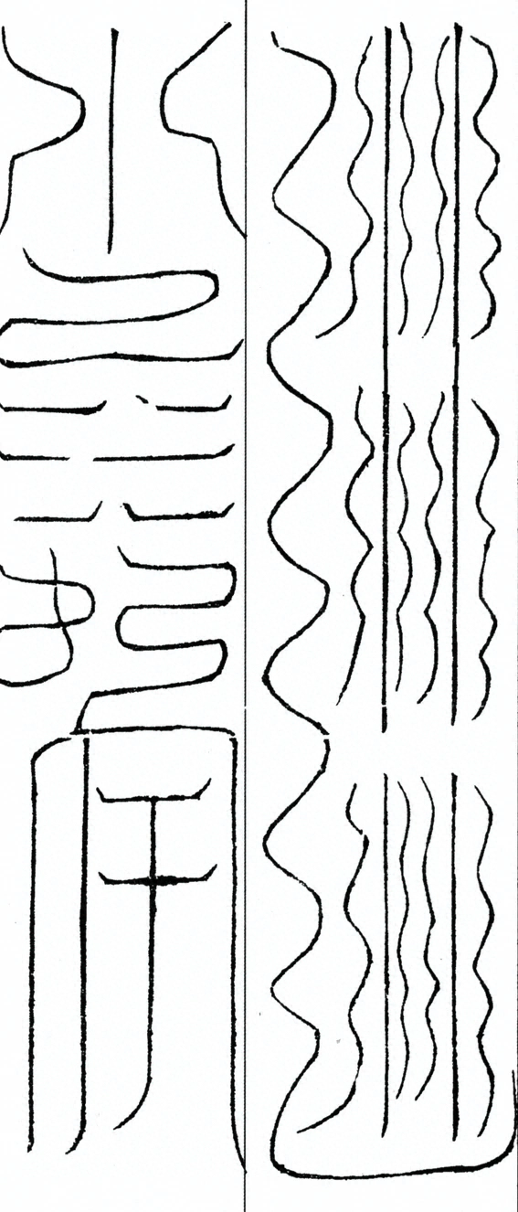 插图
