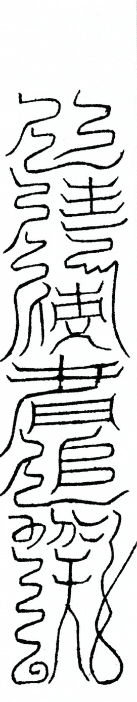 插图