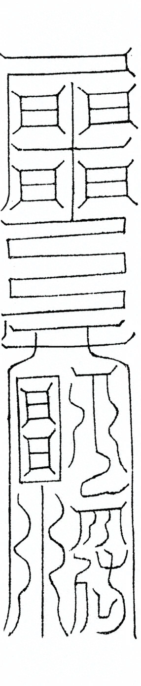 插图