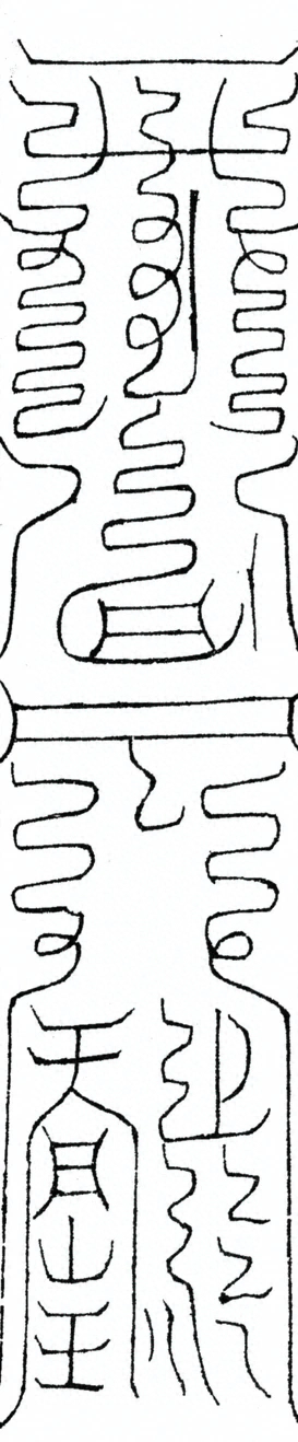 插图