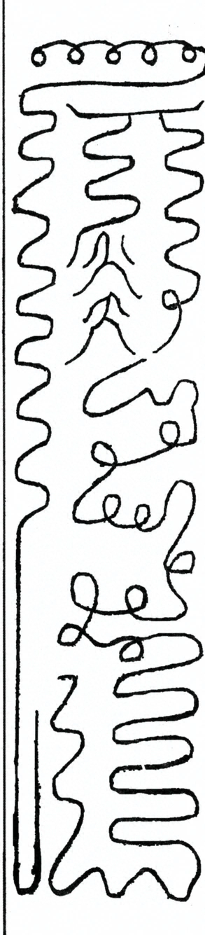 插图
