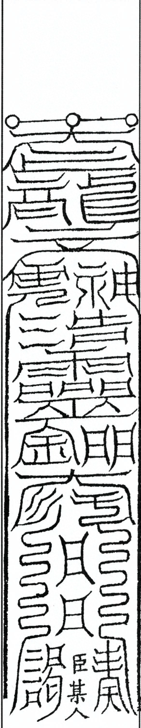 插图
