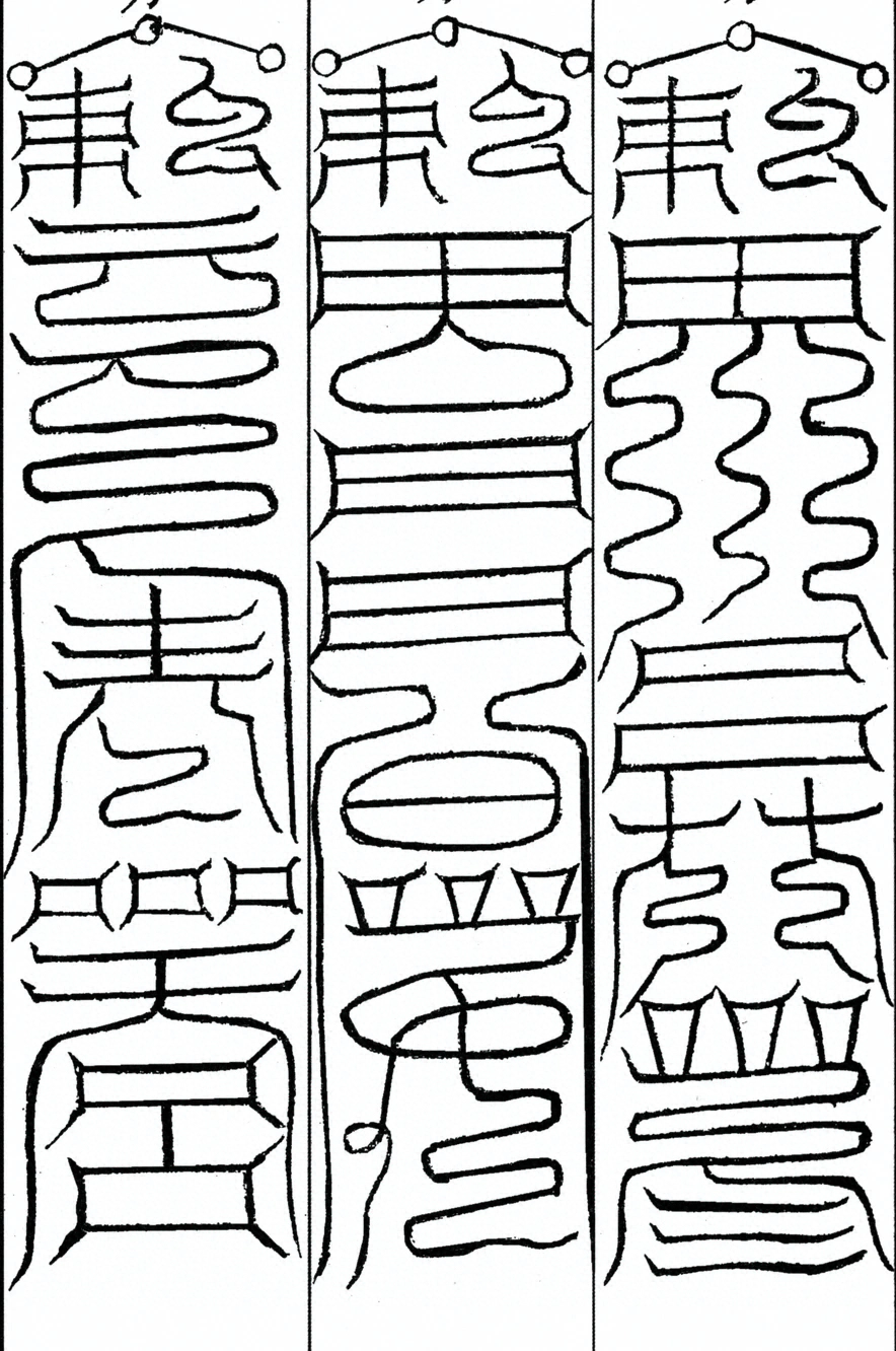 插图