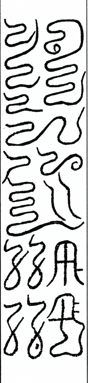 插图