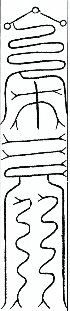 插图