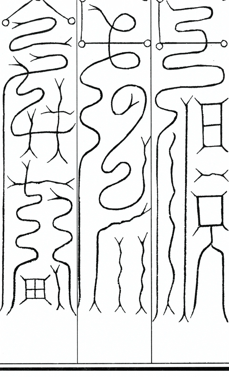 插图