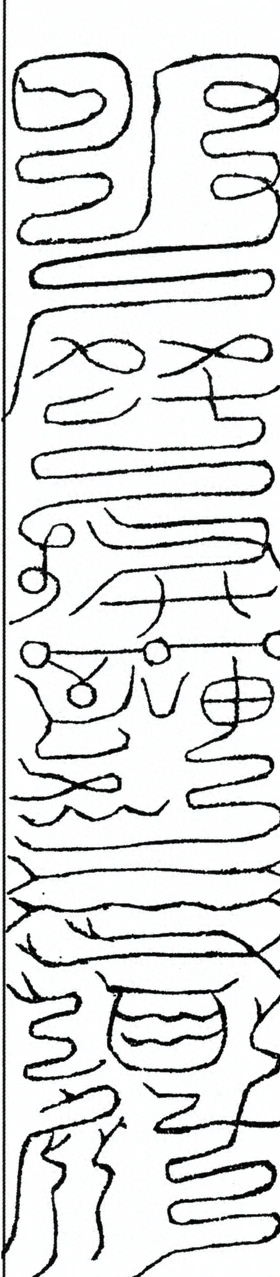 插图