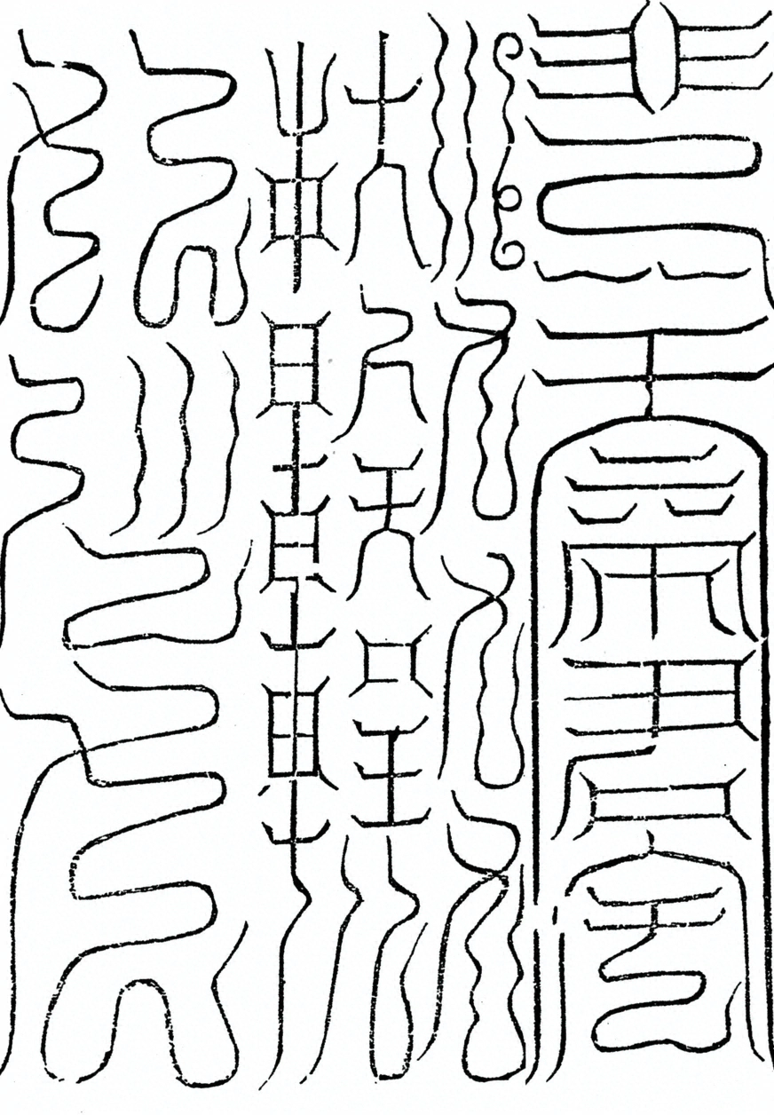 插图