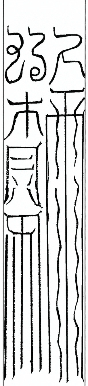 插图