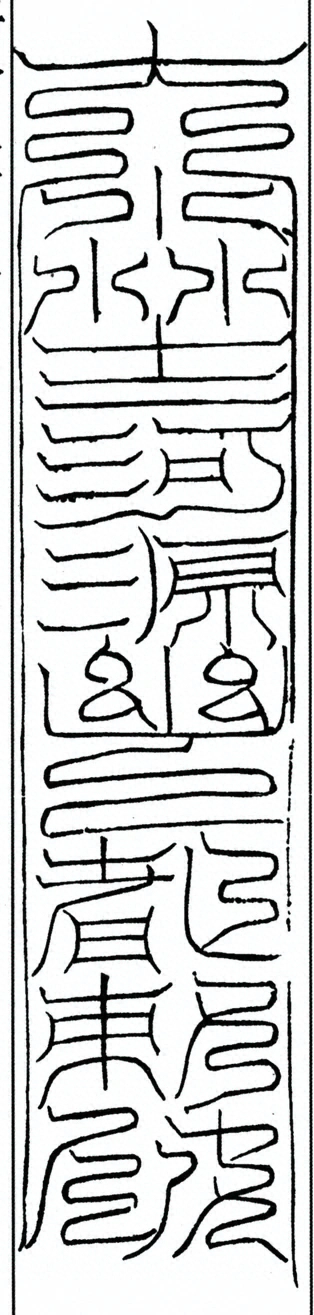 插图