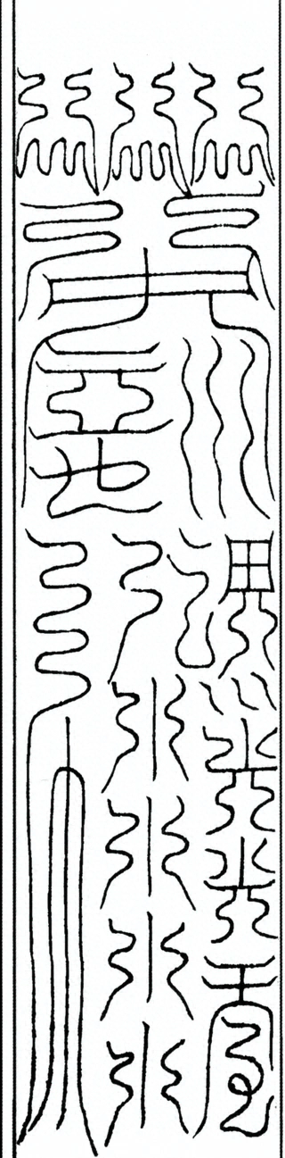 插图