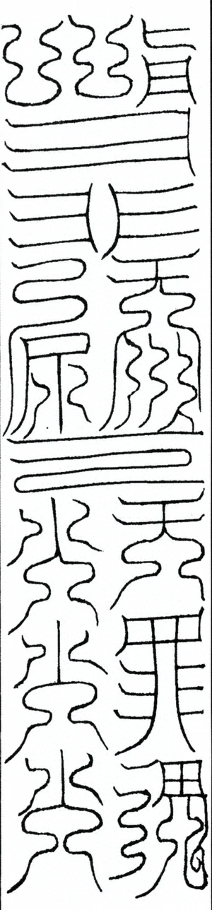 插图