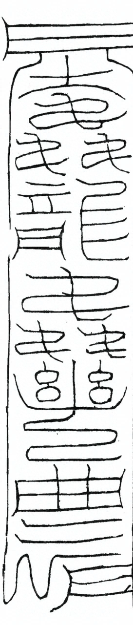 插图