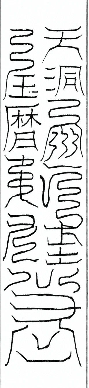 插图
