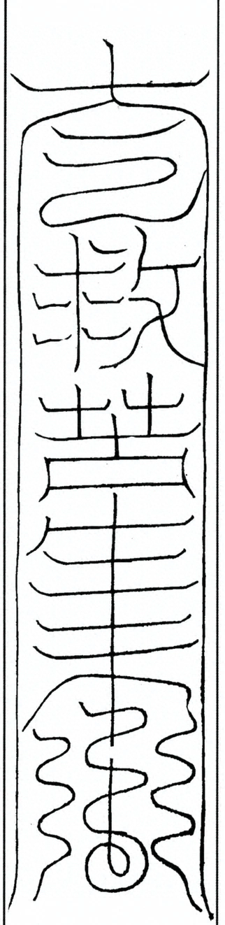 插图