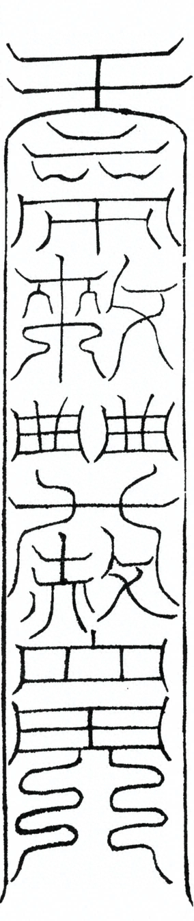 插图