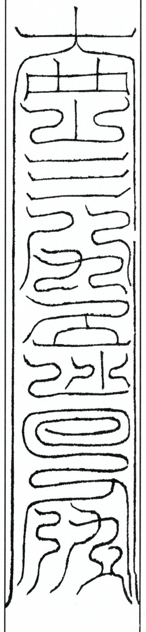 插图