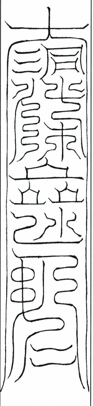 插图