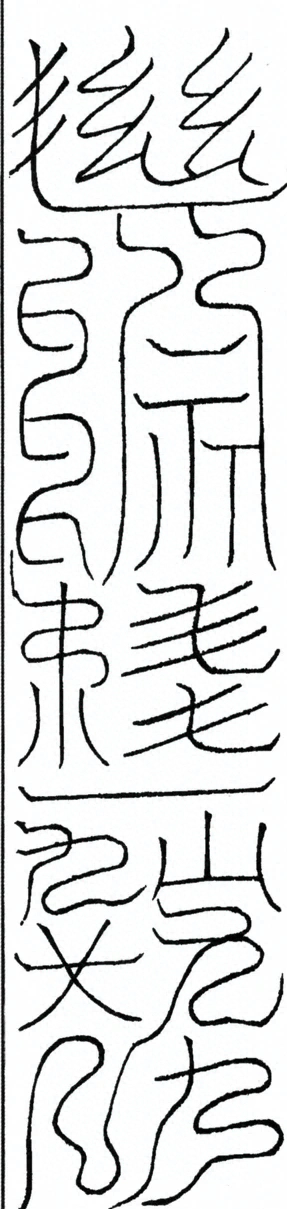 插图