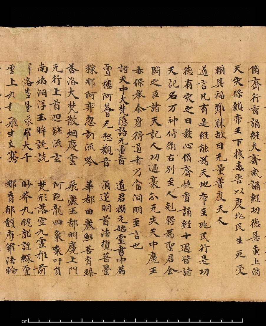 第 51 页
