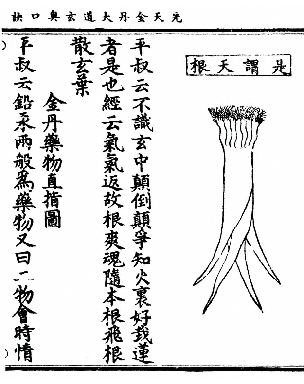 p. 13