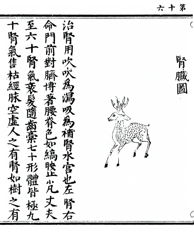 p. 32