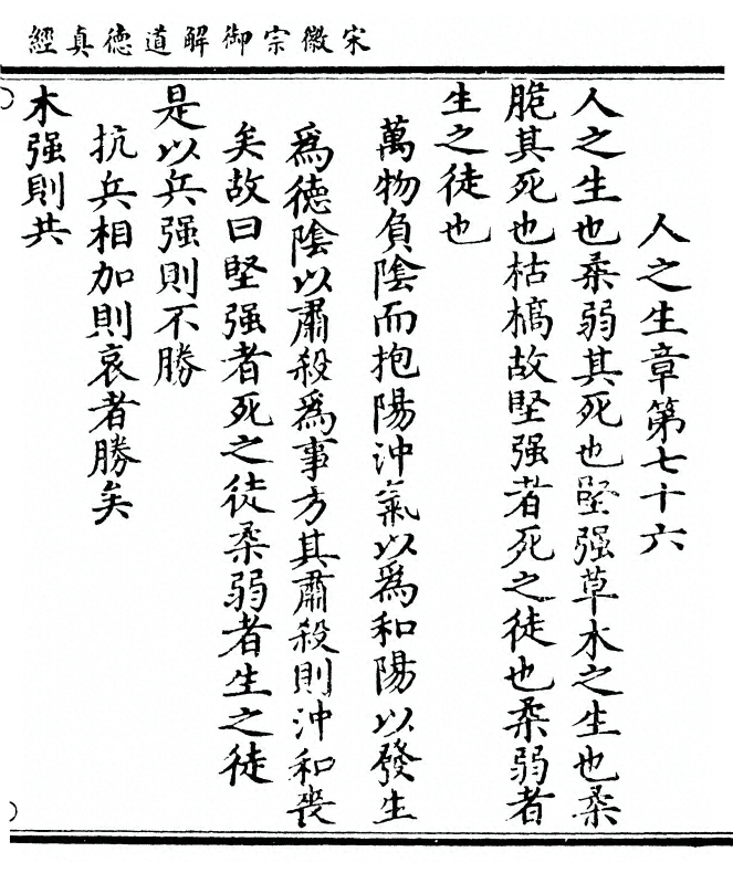 p. 239