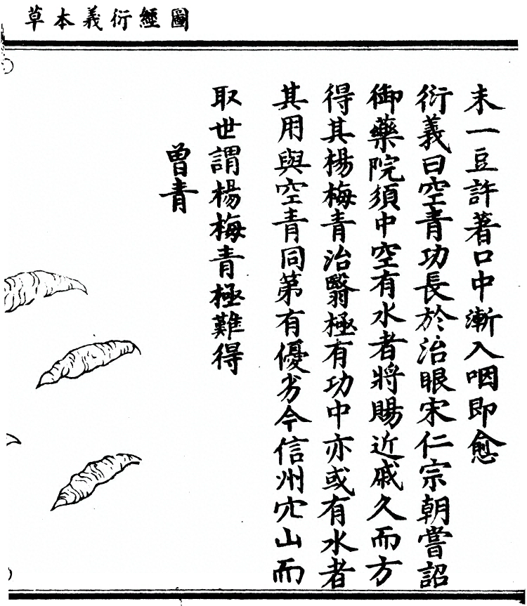 第 312 页