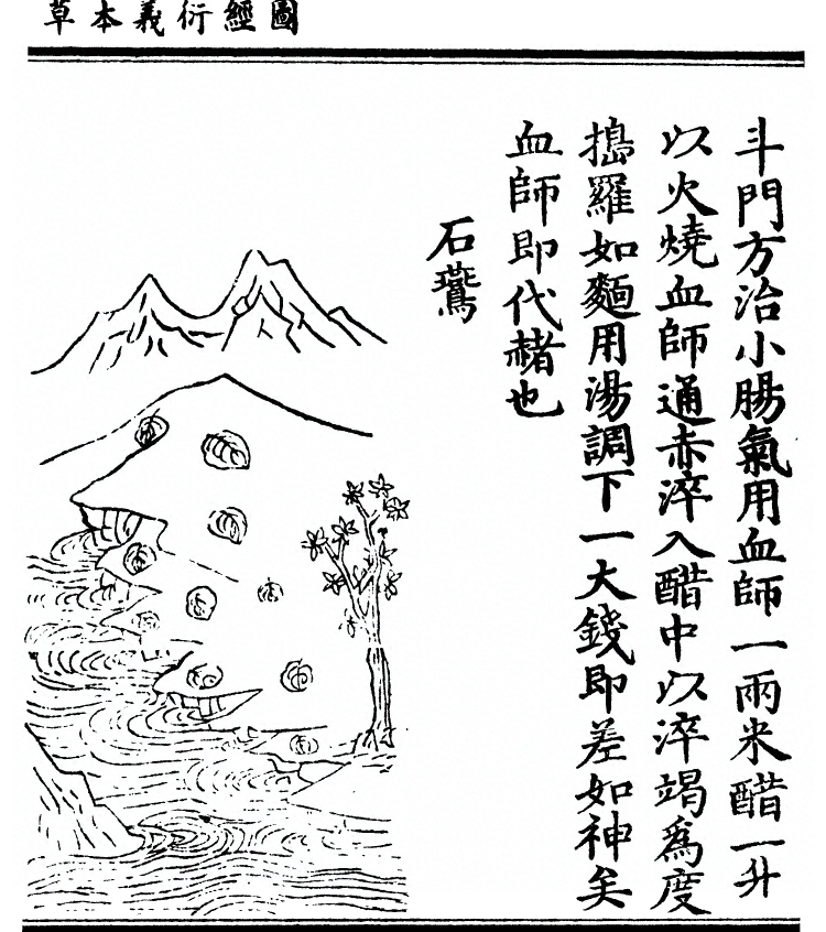 第 544 页