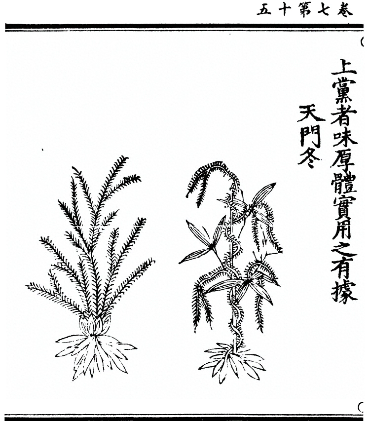 第 638 页