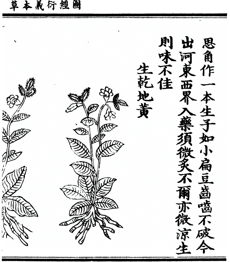 第 653 页
