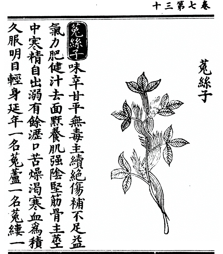 第 668 页